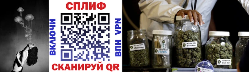 ГАШ Тихвин