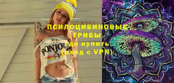 ГАЛЛЮЦИНОГЕННЫЕ ГРИБЫ Абинск