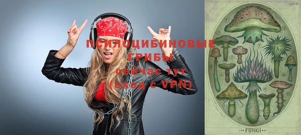 дмт Алзамай