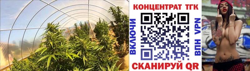 Дистиллят ТГК гашишное масло  купить наркотик  Тихвин 