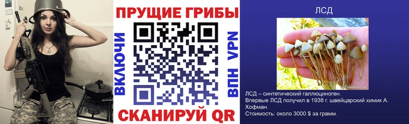даркнет клад где продают Тихвин Псилоцибиновые грибы мицелий
