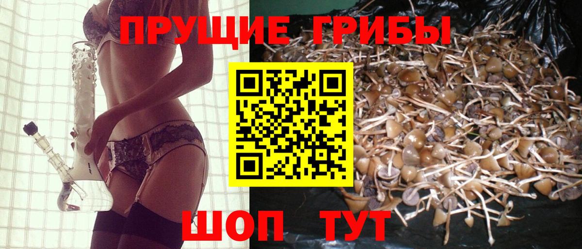 Псилоцибиновые грибы мицелий  Галлюциногенные грибы Psilocybine cubensis  Тихвин  Вход с VPN 