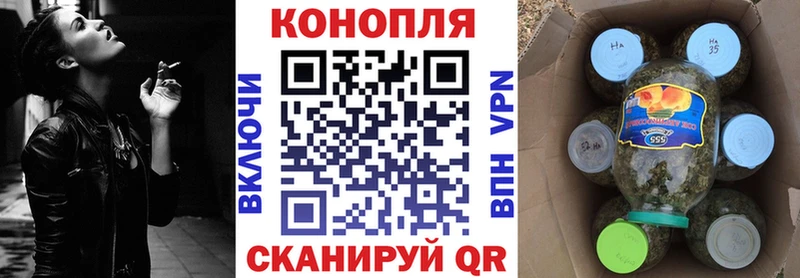 где купить наркотик  Тихвин  Бошки Шишки конопля 